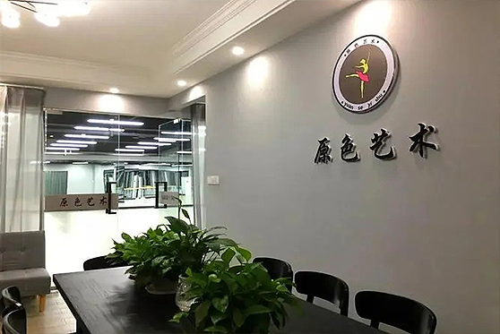 內蒙古自治區(qū)包頭市原色藝術學校